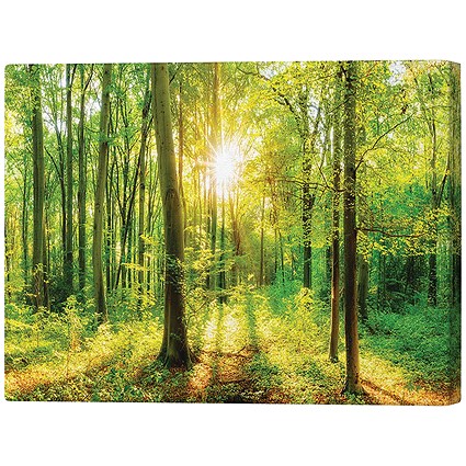 Green Forest Beauty Canvas Print, 660x1016mm