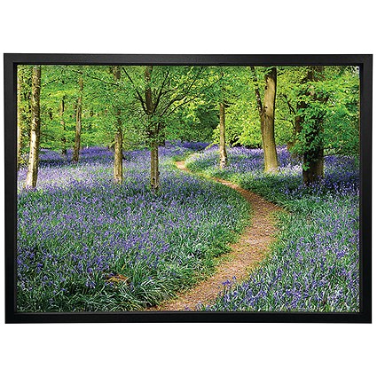 Walk Through The Bluebell Path Framed Print, A2 406x609mm