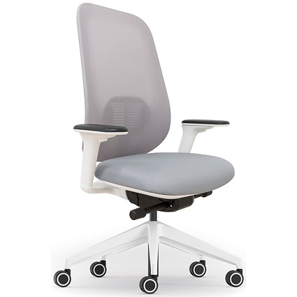 Atelier B22 White Frame Mesh Task Chair, Height Adjustable Arms, Grey