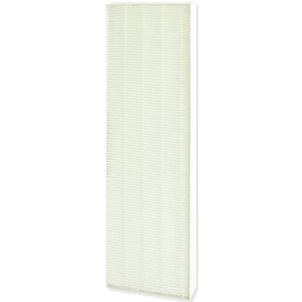 Fellowes DX5 Small True HEPA Filter