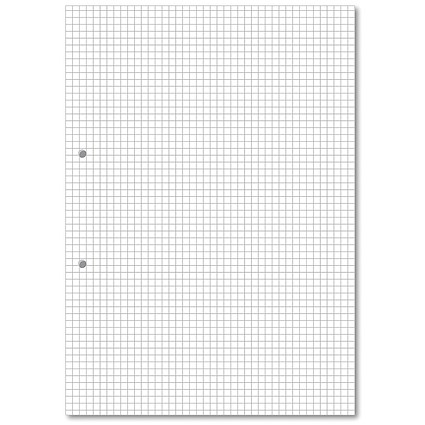Hamelin Loose Leaf Paper 5mm Squared 1000 Page Punched 2 Hole A4 (Pack of 5)