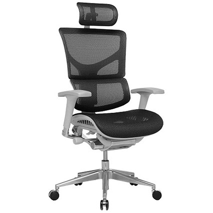 Ergo- Dynamic Posture Chair with Headrest, Grey Frame, Black, Built
