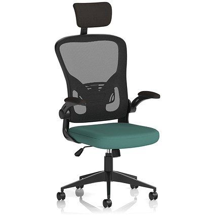 Ace Executive Mesh Back Chair With Headrest, Folding Arms, Quest Kelp