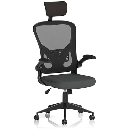 Ace Executive Mesh Back Chair With Headrest, Folding Arms, Quest Mussel