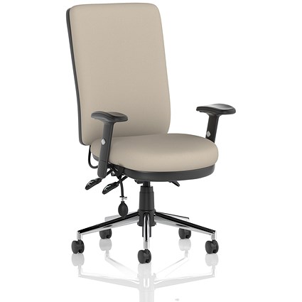 Chiro High Back Chair, Height Adjustable Arms, Quest Salt