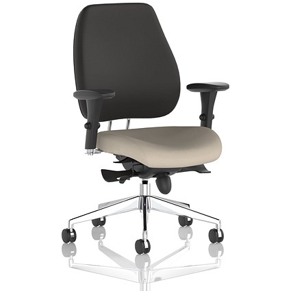 Chiro Plus High Black Back Chair, Height Adjustable Arms, Quest Salt