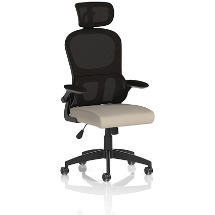 Iris Mesh Back Task Operator With Headrest, Folding Arms, Quest Salt