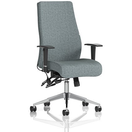 Onyx Ergo Posture Chair, Height Adjustable Arms, Rivet Tensile