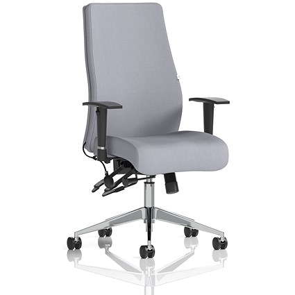 Onyx Ergo Posture Chair, Height Adjustable Arms, Quest Shell