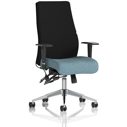 Onyx Ergo Black Back Posture Chair, Height Adjustable Arms, Rivet Quench