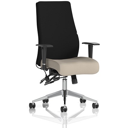 Onyx Ergo Black Back Posture Chair, Height Adjustable Arms, Quest Salt