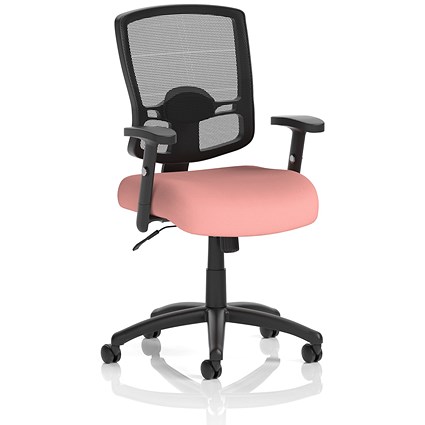 Portland Mesh Back Task Operator Chair, Height Adjustable Arms, Quest Shrimp