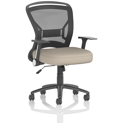 Zeus Mesh Back Task Operator Chair, Folding Arms, Quest Salt