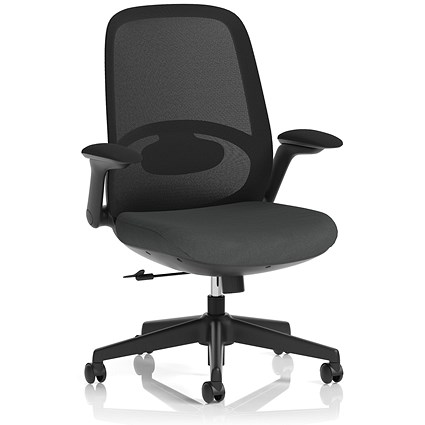 Crew 2 Task Operator Mesh Back Chair, Folding Arms, Quest Mussel