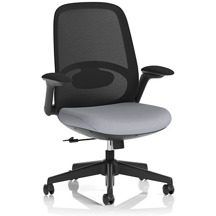 Crew 2 Task Operator Mesh Back Chair, Folding Arms, Quest Shell