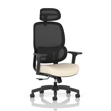 Rowan Mesh Back Chair With Headrest, Adjustable Arms, Quest Salt