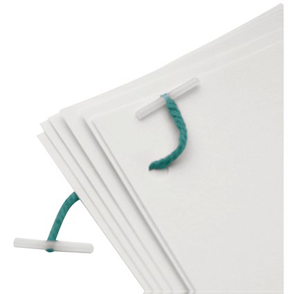 Q-Connect Plastic Treasury Tag 152mm (Pack of 100)