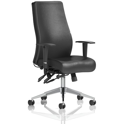 Onyx Ergo Posture Chair, Height Adjustable Arms, Black