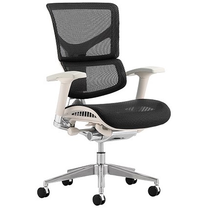 Ergo-Dynamic Posture Chair, Grey Frame, Mesh, Black