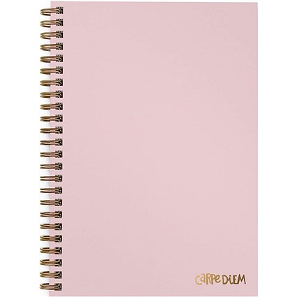 Pukka Pad Carpe Diem Wirebound Notebook, B5, Ruled, 160 Pages, Pink