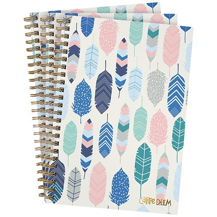 Pukka Feathers Wirebound Notebook, B5, Ruled, 180 Pages, Multicoloured, Pack of 3