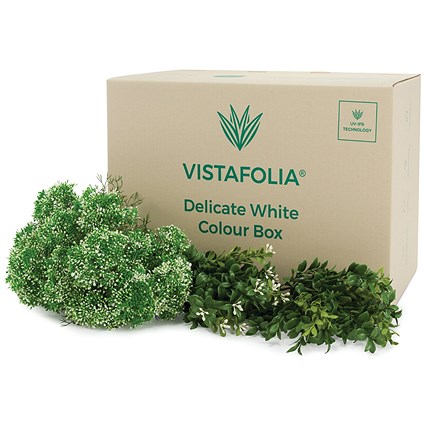 Vistafolia Delicate White Colour Box (Pack of 42) CBX-WHT