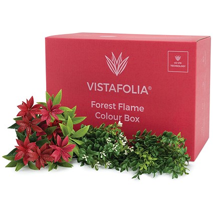 Vistafolia Forest Flame Colour Box (Pack of 30) CBX-FFL