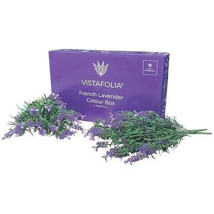 Vistafolia French Lavender Purple Colour (Pack of 10) CBX-LAV-PPL