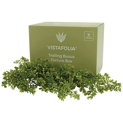 Vistafolia Trailing Buxus Texture Box (Pack of 9) TBX-TBX