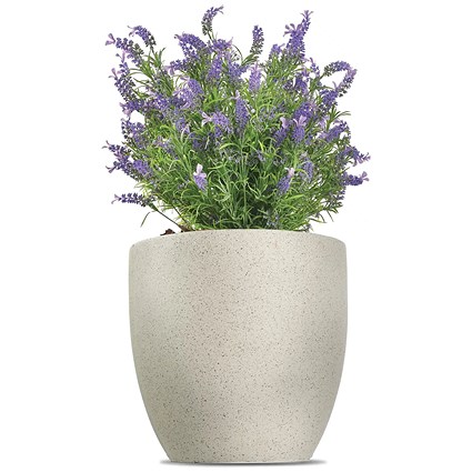 Vistafolia French Lavender Bush Purple FLB-PPL