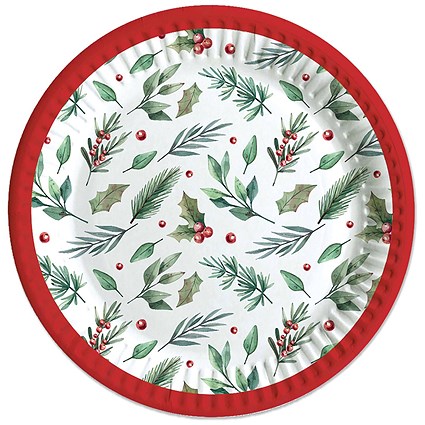 Traditional Christmas Party Paper Plates x6 Pack of 12