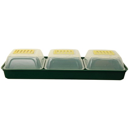 Whitefurze Windowsill Propagator Set, Green/Clear