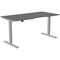 Zoom Sit-Stand Desk with Double Purpose Scallop, Silver Leg, 1600mm, Graphite Top