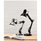 Hobby Desk Lamp / Polished Chrome / 40W