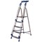 Ladder / 5 Steps / Capacity 150kg