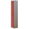Bisley 2 Door Steel Locker / Depth 305mm / Grey Shell & Red Door