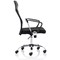 Trexus Vegalite Executive Mesh Chair, Black