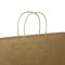 Kraft Paper Carrier Bag, Large, 320x420x150mm, Natural Brown, Pack of 100