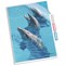 Durable A4 Cut Flush 3 Part Index Divider Document Folders, Pack of 5