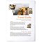 Durable A4 Cut Flush Business Document Wallet Folders, Clear, Pack of 50