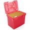 A4 Plastic File Box - Pink