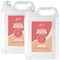 2Work Naturally Clean Washing Up Liquid 5 Litre Pack of 2
