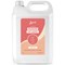2Work Naturally Clean Washing Up Liquid 5 Litre Pack of 2