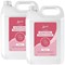 2Work Naturally Clean Antibacterial Sanitiser 5L Pack of 2