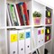 Post-it Notes, 38 x 51mm, Neon Assorted, Pack of 3 x 100 Notes