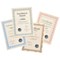 A4 Certificate Paper with Foil Seals, Bronze Wave, 90gsm, Pack of 30