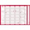 Sasco 2025 Compact Year Wall Planner 610W x 405mmH Landscape With Wet Wipe Pen & Sticker Pack Unmounted -
