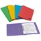 Elba Bright Transfer Files, 320gsm, Foolscap, Assorted, Pack of 10