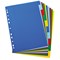 Elba Plastic Subject Dividers, 10 Part, A4, Multicoloured