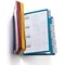 Durable Vario A4 Wall Display Panel, 20 Panels, Colour Coded